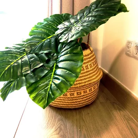 Rincon Del Botanico * Puerto de la Cruz (Tenerife)