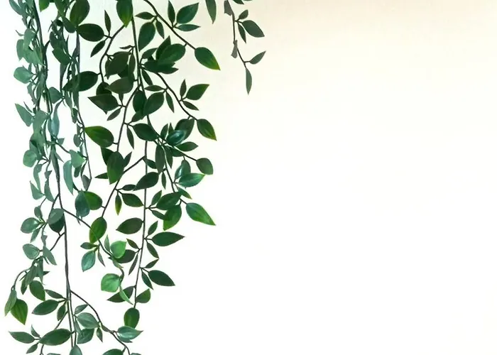 Rincon Del Botanico Puerto de la Cruz (Tenerife)