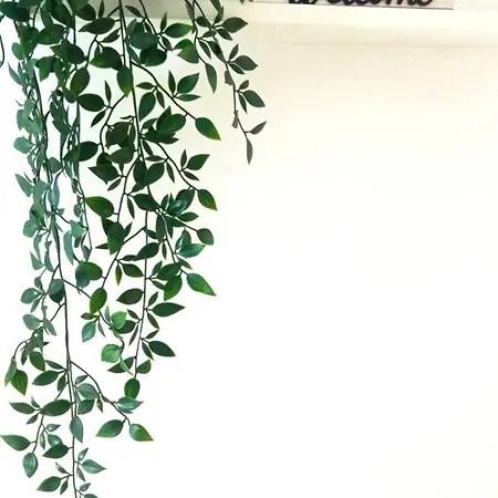 Rincon Del Botanico プエルト・デ・ラ・クルス