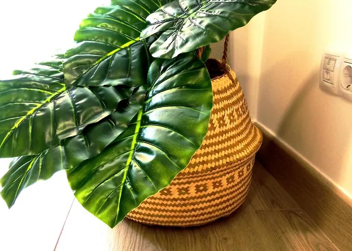 Rincon Del Botanico * Puerto de la Cruz (Tenerife)